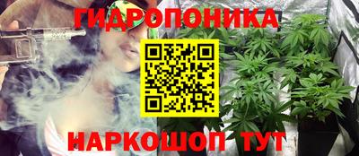 прущие грибы Аргун