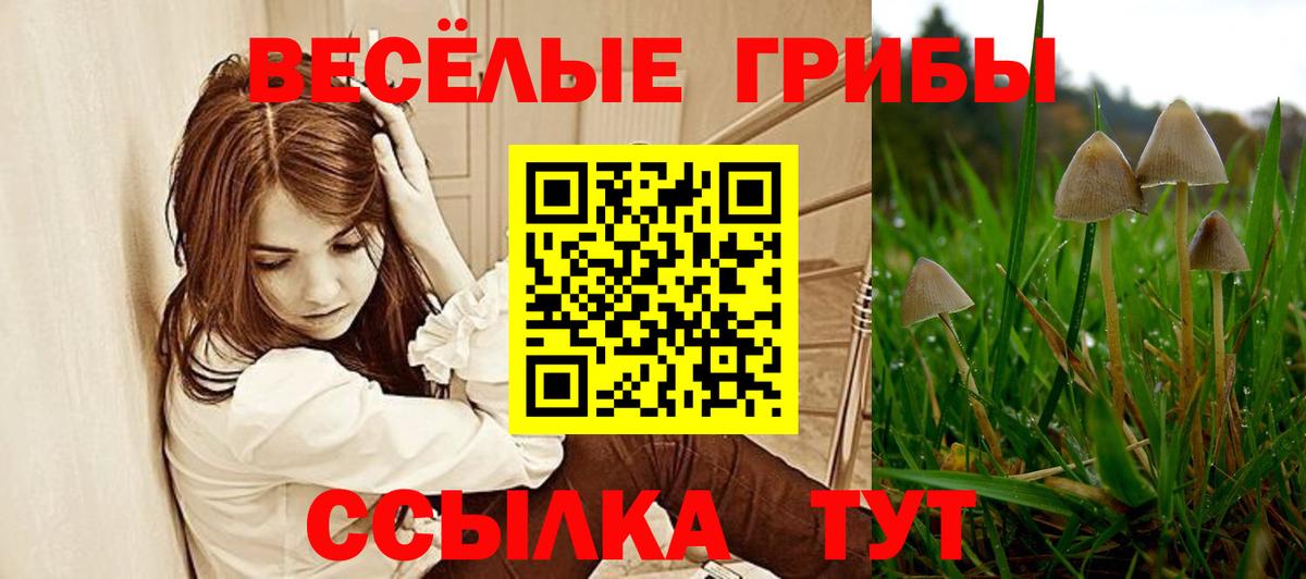 Псилоцибиновые грибы Magic Shrooms  Псилоцибиновые грибы MAGIC MUSHROOMS  Вход с VPN  Балаково 